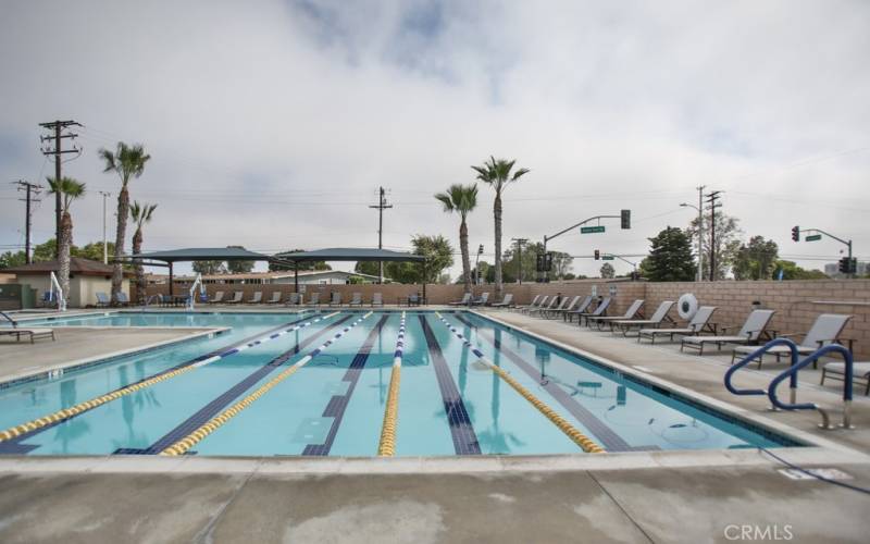 Community Pool