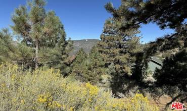 15113 Chestnut Drive, Pine Mountain Club, California 93222, ,Land,Buy,15113 Chestnut Drive,24454751