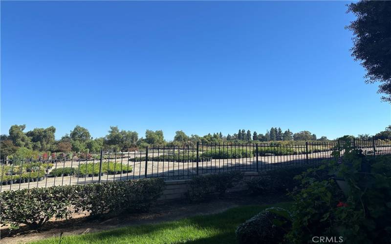 VIEWS!!! East facing, living room and patio view.