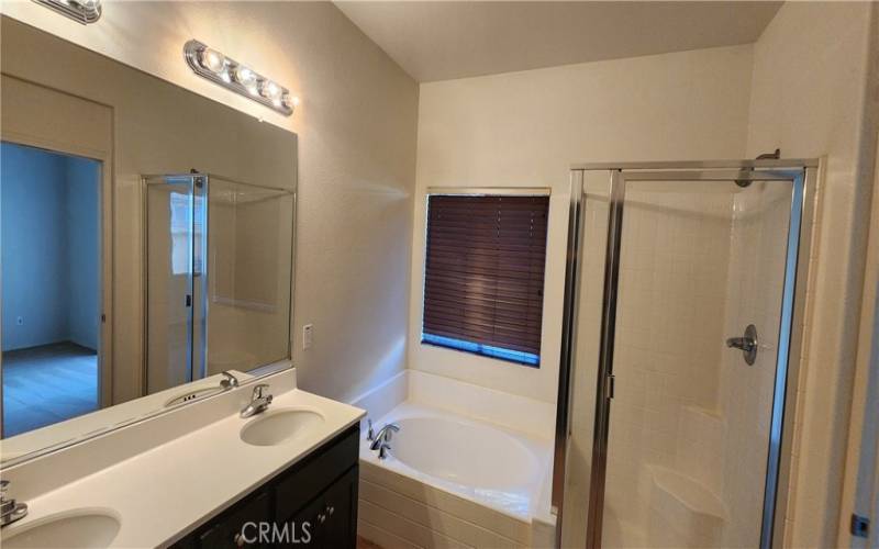 Separate bath tub and shower area