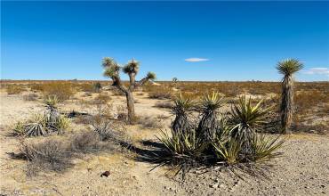 24 Avenida Del Sol, Joshua Tree, California 92252, ,Land,Buy,24 Avenida Del Sol,JT24217268