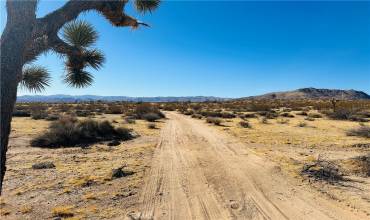 23 Avenida Del Sol, Joshua Tree, California 92252, ,Land,Buy,23 Avenida Del Sol,JT24217250