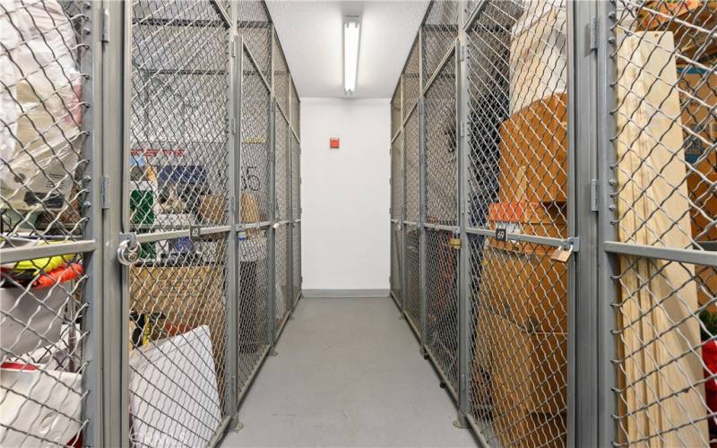 Unit 407 comes with a designated floor to ceiling storage cage in a locked HOA storage room.