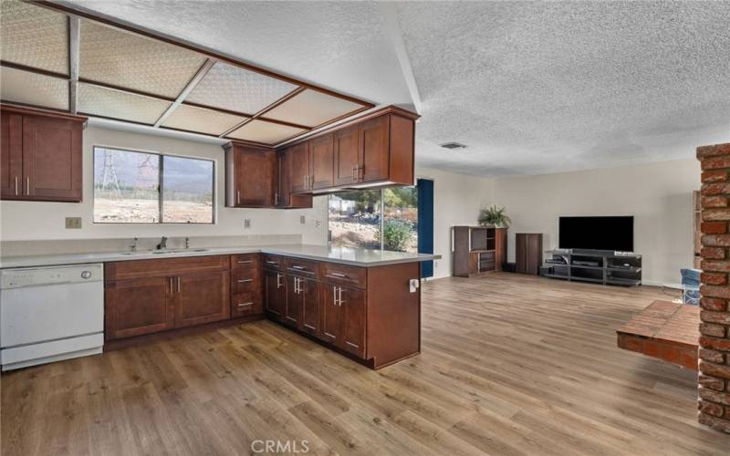 Kitchen and Family Room