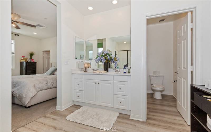 Master Bedroom Bathroom