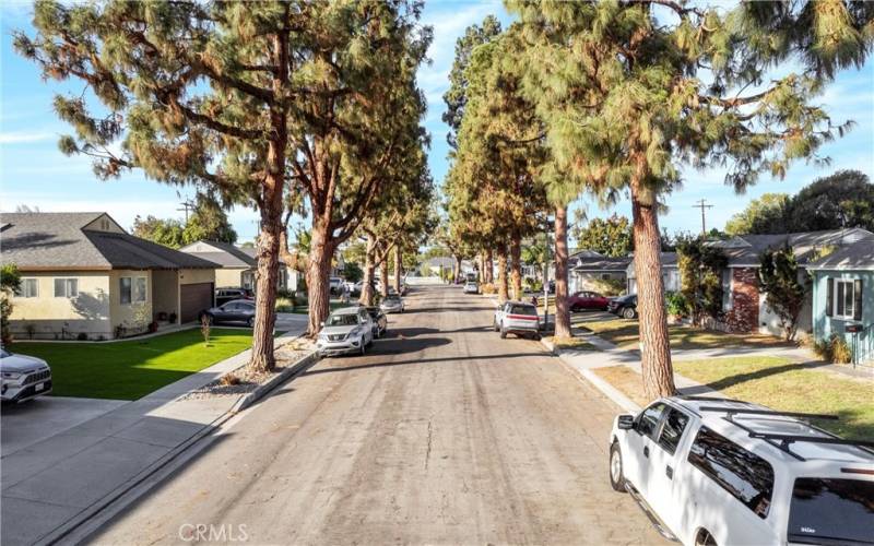 Beautiful Tree Lined street in sought after family neighborhood!