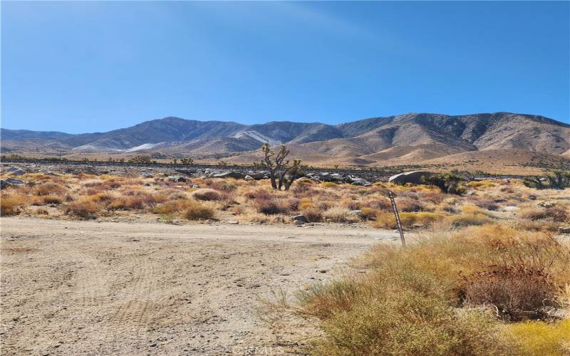 View from SW corner of lot towards railroad tracks