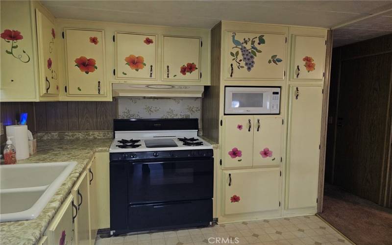 kitchen -oven-range cabinets could be repainted