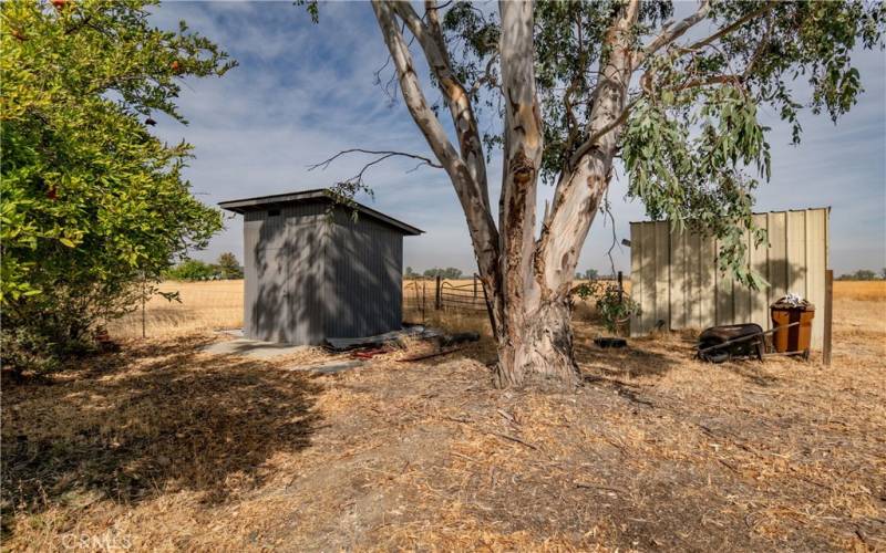 Pump house & Horse Shelter