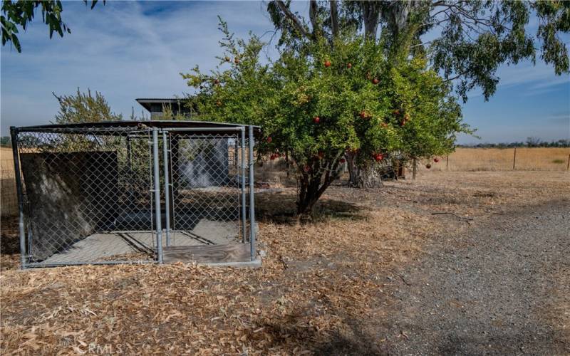 Dog Kennel