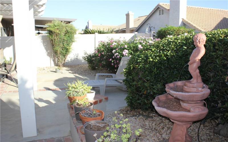 back  yard and patio