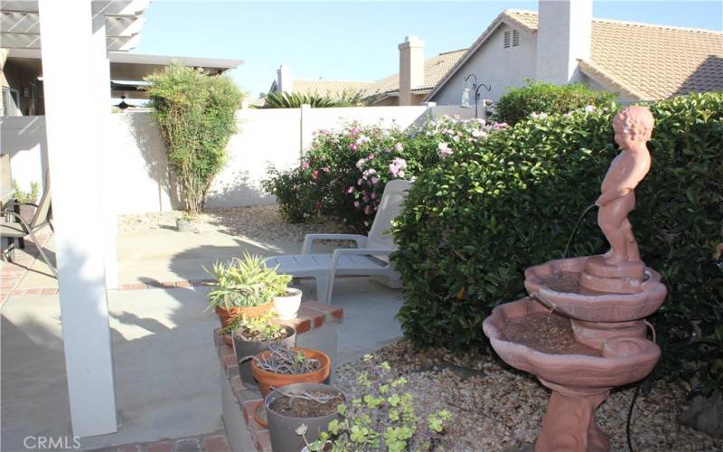 back  yard and patio