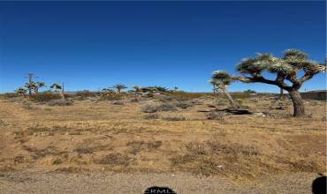 58279 Canterbury Street, Yucca Valley, California 92284, ,Land,Buy,58279 Canterbury Street,CV24217466