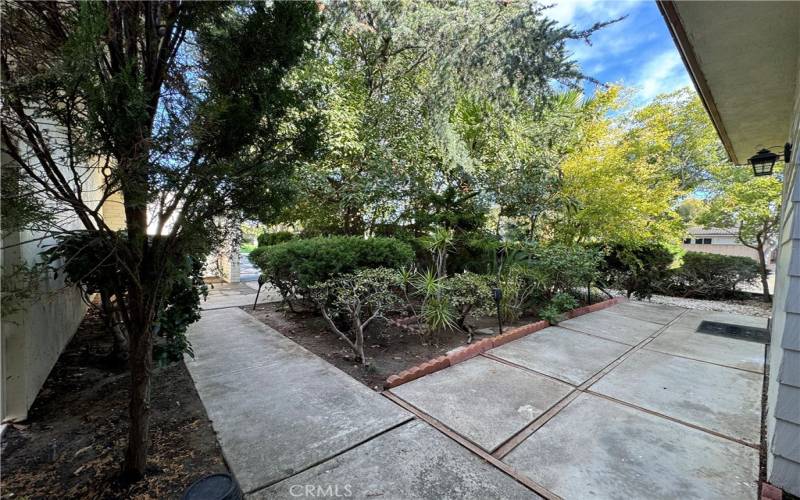 Front yard landscaping view.