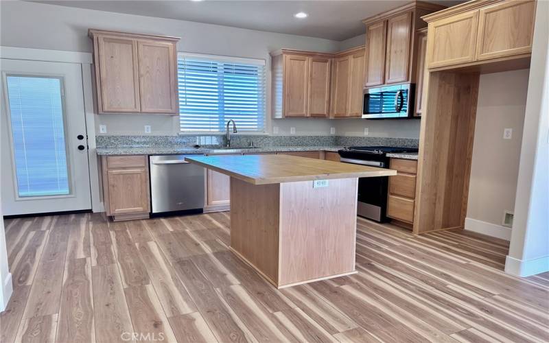 Open Kitchen with door to backyard