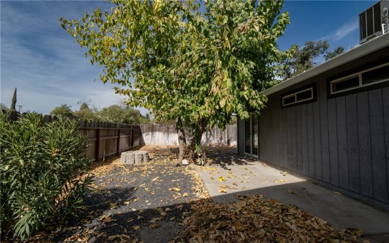 Tree, firepit & patio