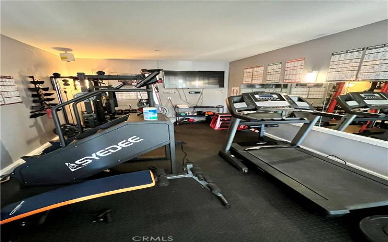 Tandem Garage Gym