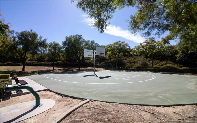 BASKETBALL COURT