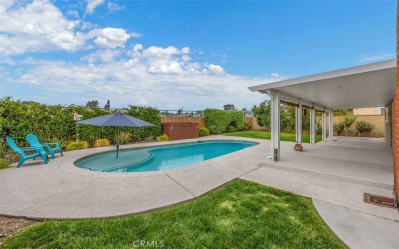 Pool Backyard