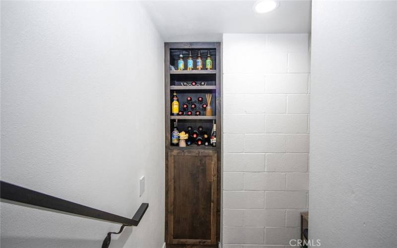 Downstairs Bar Closet