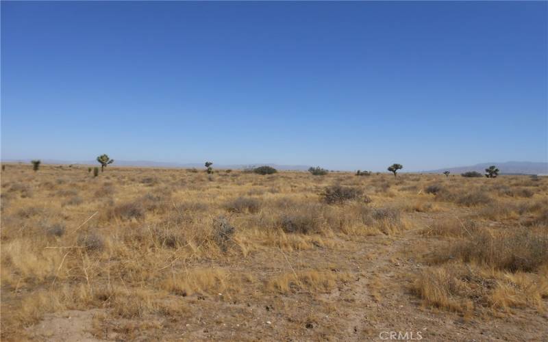 Looking across the property