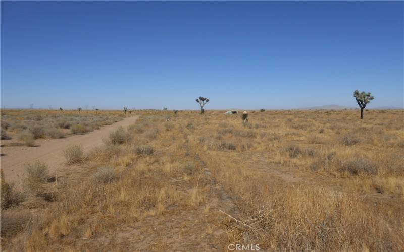 Looking north along west edge of property