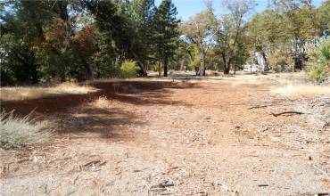 13457 Achilles Court, Magalia, California 95954, ,Land,Buy,13457 Achilles Court,OR24217752