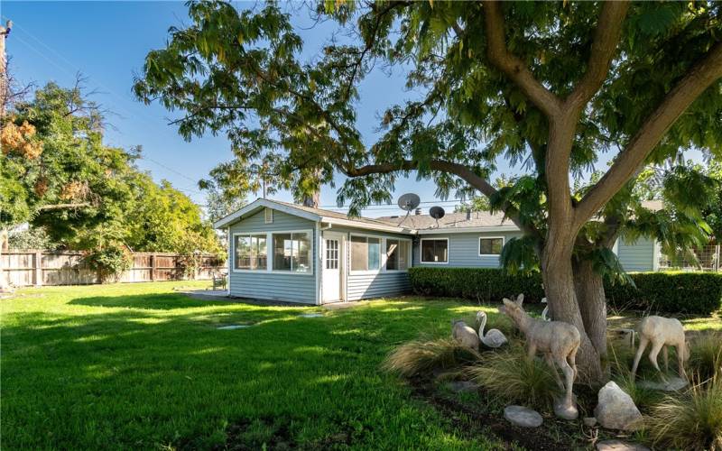 Lush fenced backyard