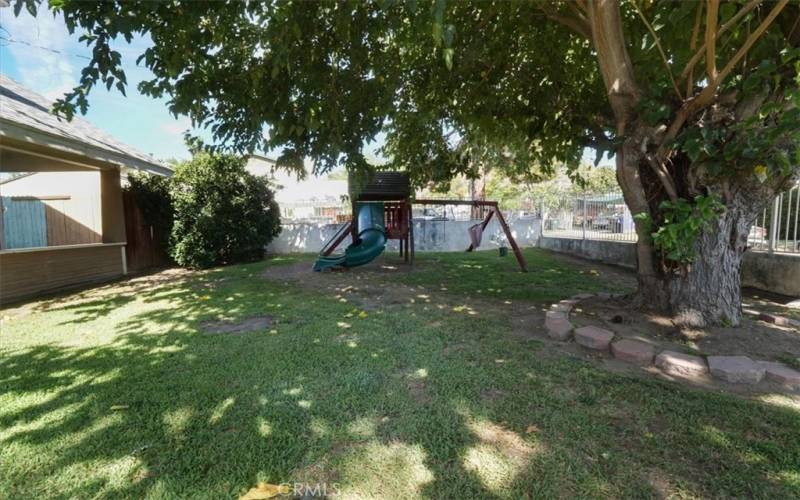 The large shade tree in the front yard welcomes you to the property.