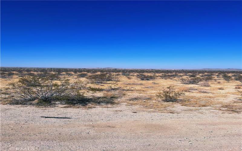 0 29 Palms Highway Joshua Tree