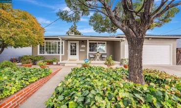 371 Rose Ann Ave, Pittsburg, California 94565, 3 Bedrooms Bedrooms, ,1 BathroomBathrooms,Residential,Buy,371 Rose Ann Ave,41076895