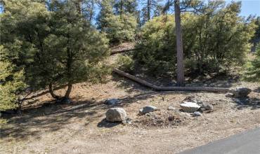 1300 Banff Drive, Pine Mountain Club, California 93222, ,Land,Buy,1300 Banff Drive,SR24218056