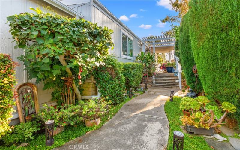 Beautifully Maintained Private Yard