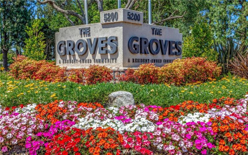 The Groves in Irvine