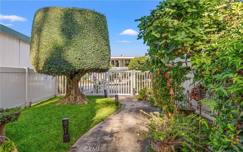 Beautifully Maintained Private Yard