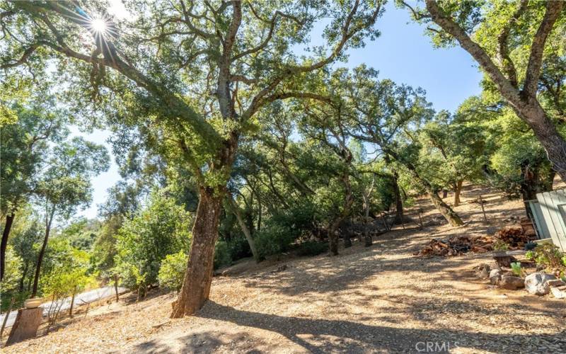 The property features deer fencing around the home!