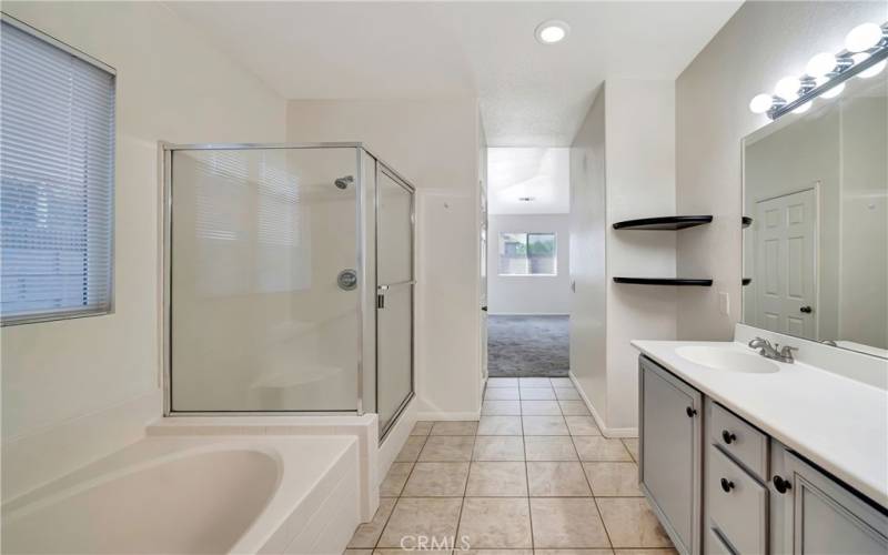 Master bath and vanity