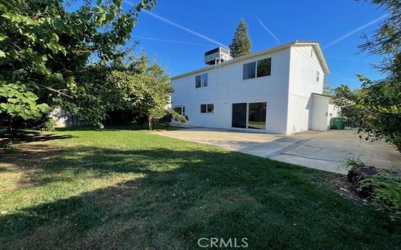 Backyard showing green grass, fruit trees and cement.