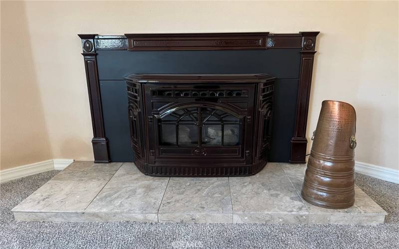 Pellet stove