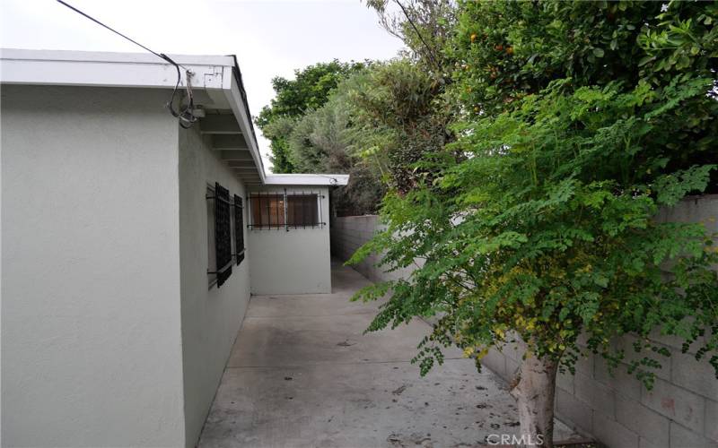 North side of house looking toward street