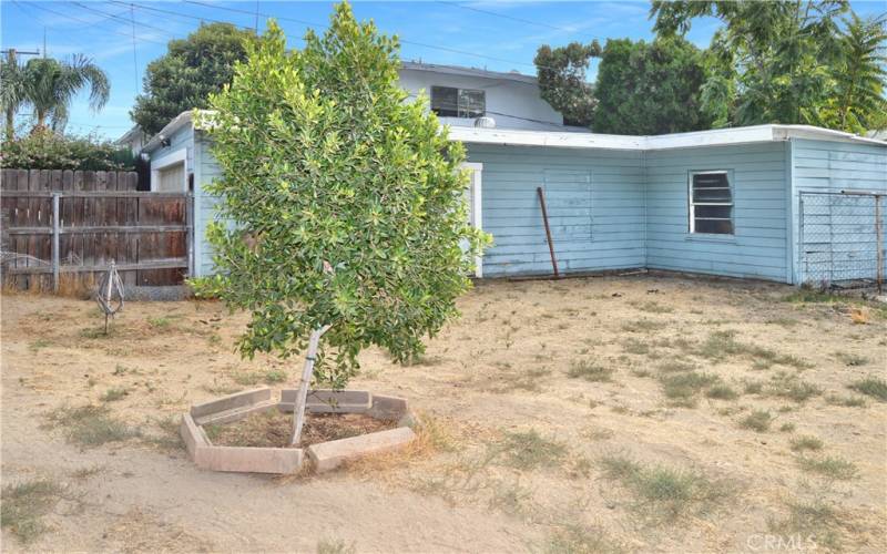 Another yard with so many possibilities sists between the two garages.