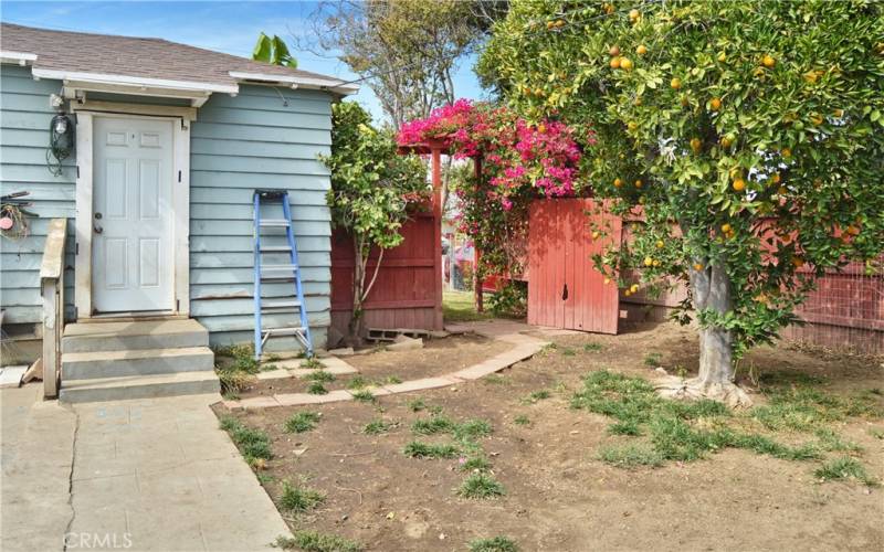 Pathway from the arbor in the front yard to the 1st part of the backyard with your own fruit tree to enjoy right outside the kitchen door.