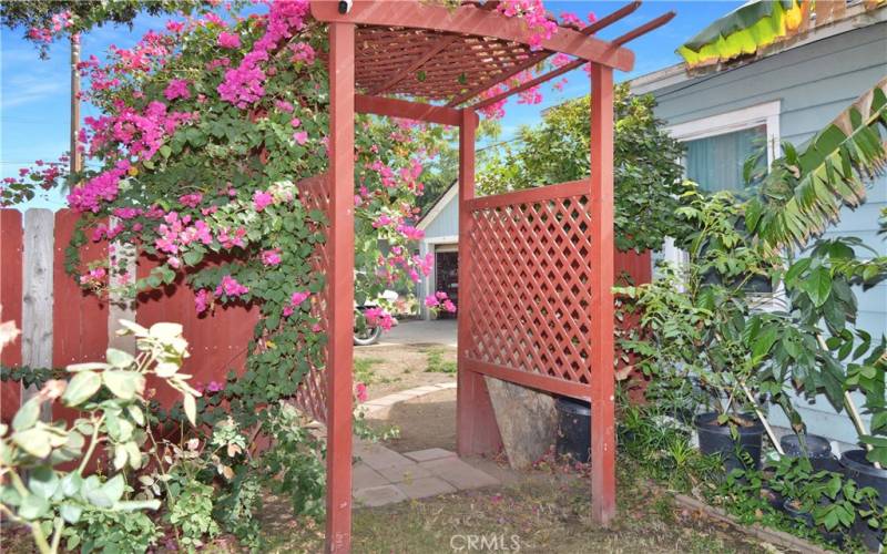 Flower-covered arbor on the side of the house leading to the 1st part of the backyard.