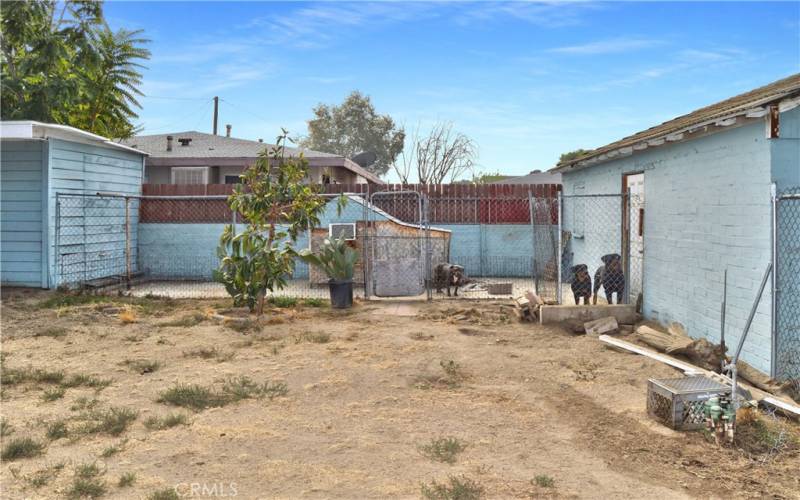 Separately-fenced dog run between the two garages. The side door gives the dogs access to the smaller garage.