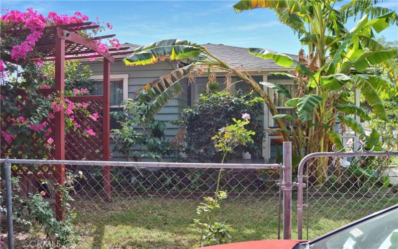 Side gate with view of the front porch surrounded by greenery and the flower-covered arbor leading to the 1st backyard