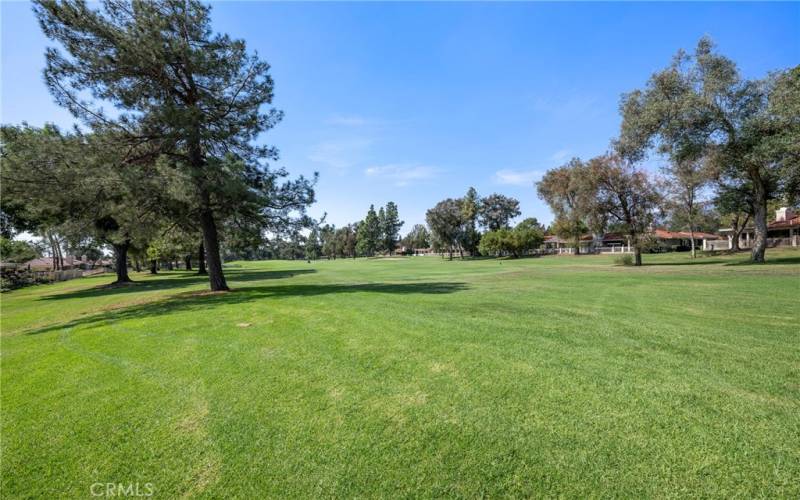 Golf Course Back patio View