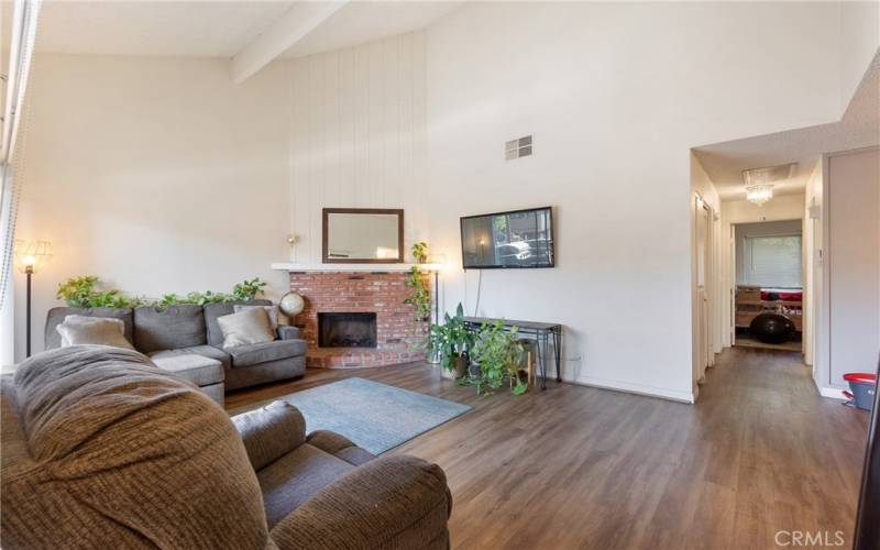 Living Room + Fireplace