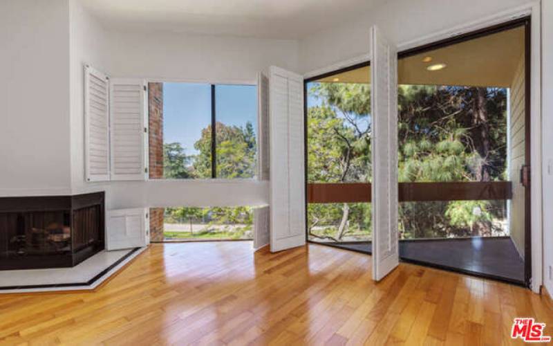 View of trees from Living Room