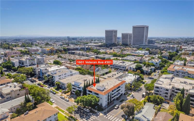 Take a look at this beautiful neighborhood that is great for walking with Sprouts on Westwood Blvd. close by.