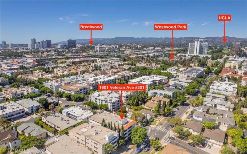 UCLA, Brentwood and Westwood Park close